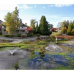 Water Feature - Cedar Springs